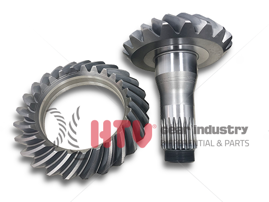 AYNA MAHRUTİ DİŞLİ