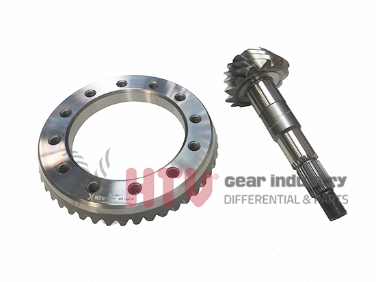 BONGO AYNA MAHRUTİ DİŞLİ