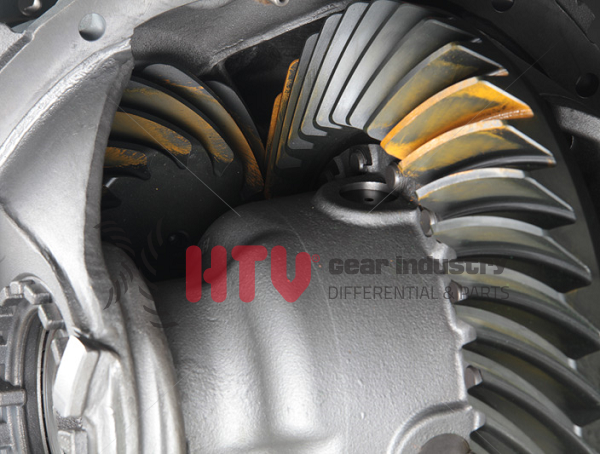 KOMPLE DİFRANSİYEL - ARMUT