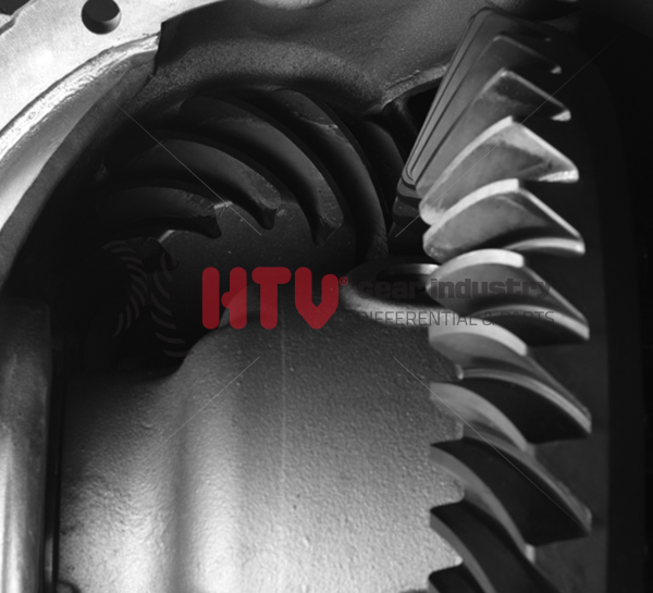 KOMPLE DİFRANSİYEL - ARMUT