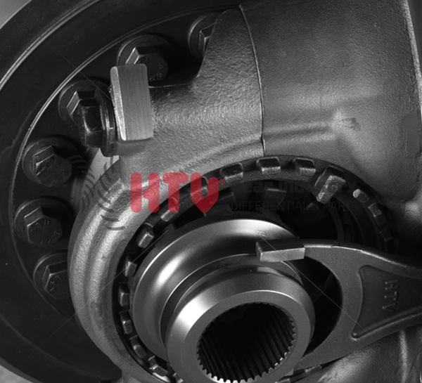 KOMPLE DİFRANSİYEL - ARMUT